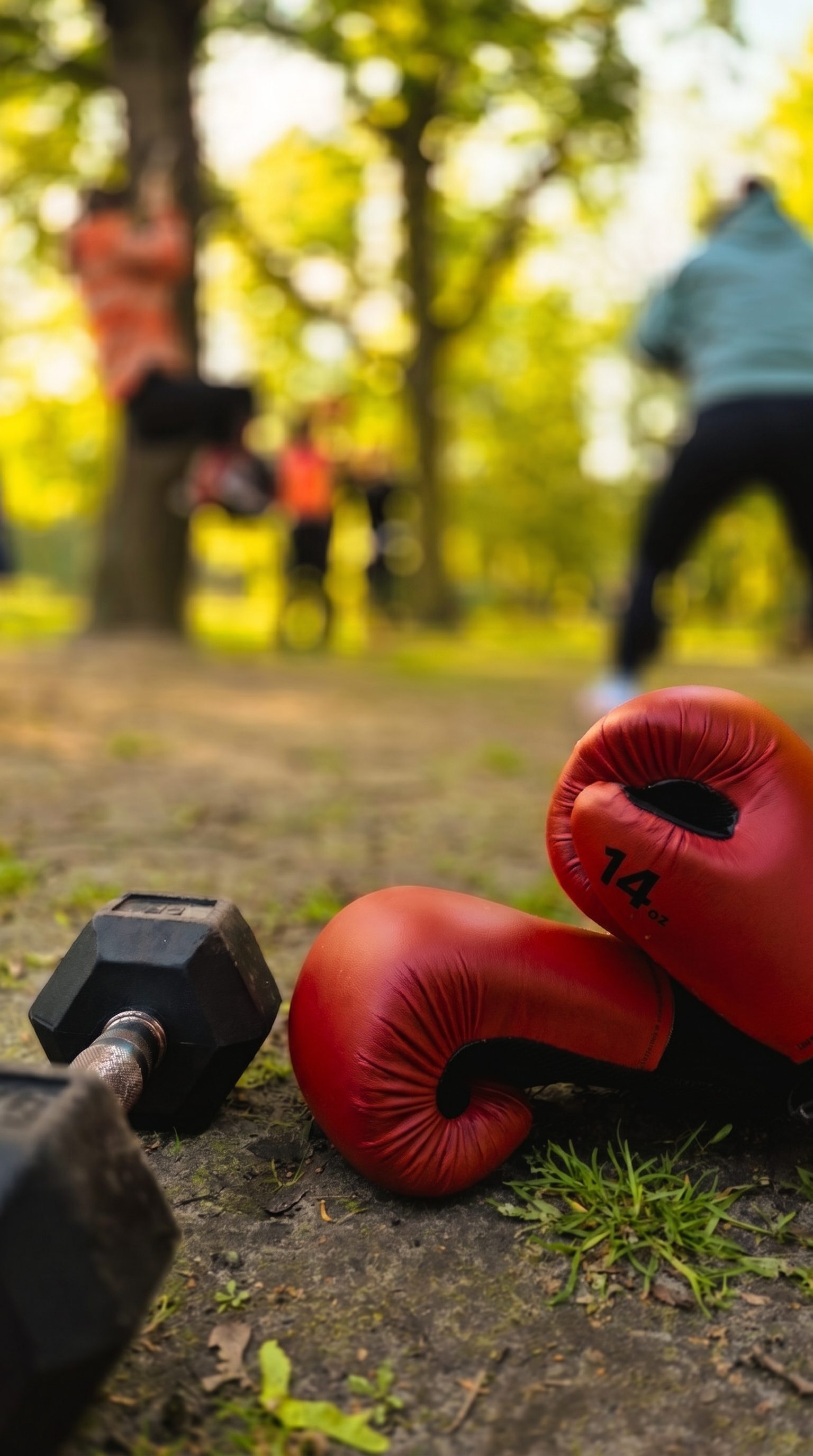 Rote Boxhandschuhe und Kurzhantel im Gras – Box Special beim Outdoor-Bootcamp in Berlin